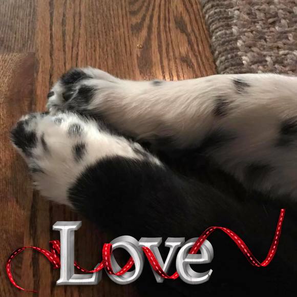 Meet your Posher, Stephanie - Picture 1 of 1